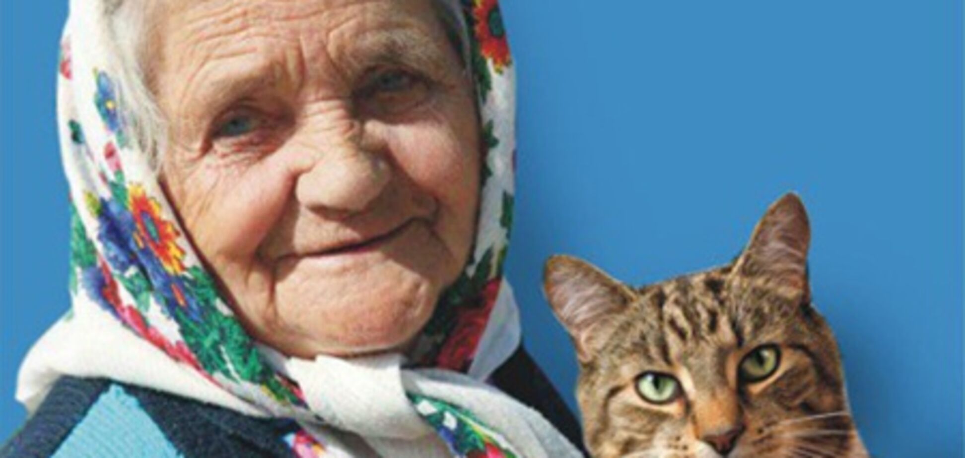 В МВД объяснили, зачем ищут автора билборда с котом