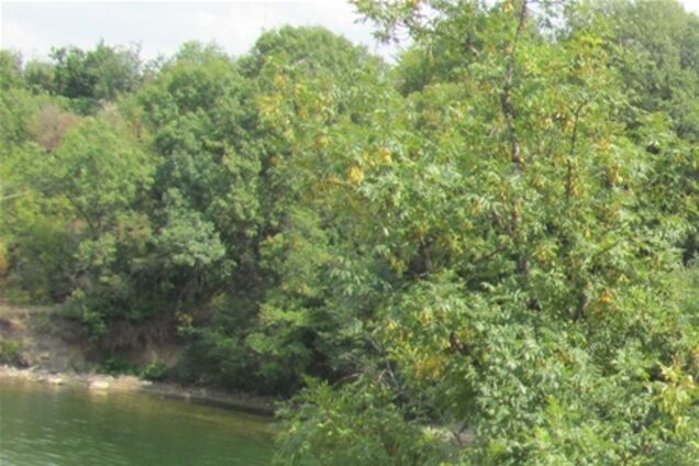 На Луганщине влюбленные решили, что их тюрьма не разлучит