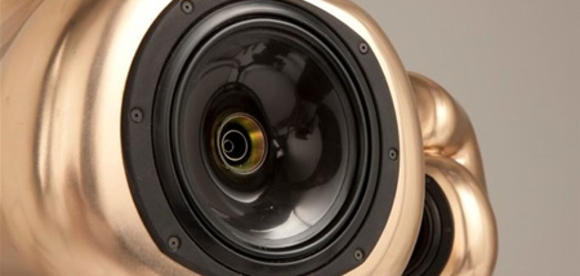 Представлены самые дорогие колонки в мире. Фото