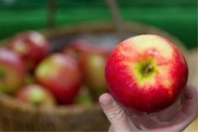 Медовый и яблочный спас: древние приметы, новые рецепты