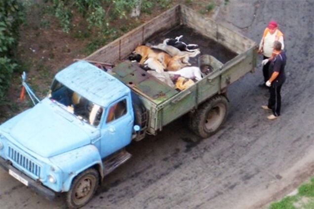 Истребители собак, или Современный зоофашизм по-киевски