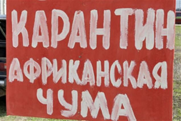 У Запорізькій області вже знищили 200 свиней