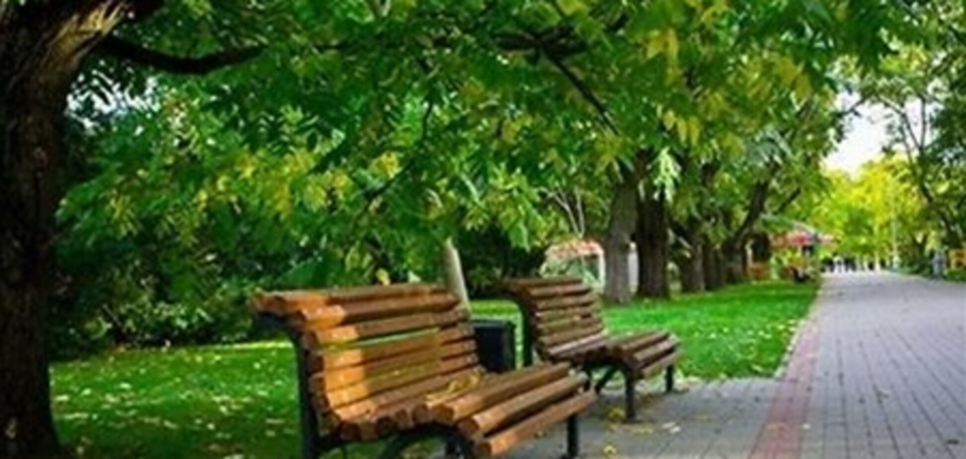 В Киеве 'новую жизнь' получили 4 зеленые зоны