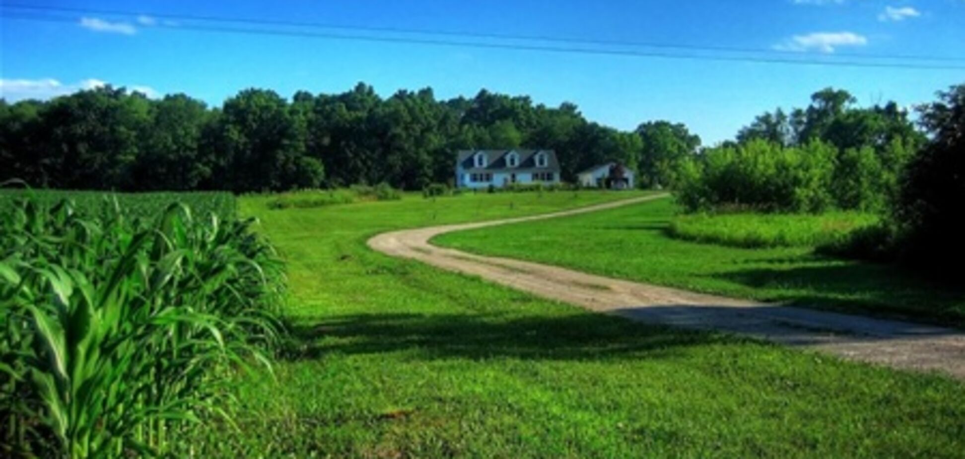 Землю в Украине будут продавать по-новому