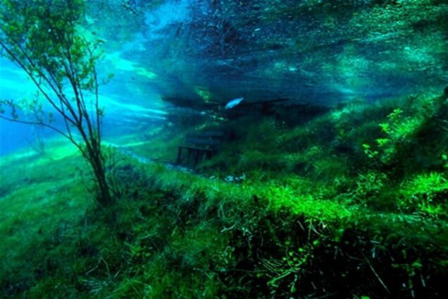 Подводный парк 'Зеленое озеро'