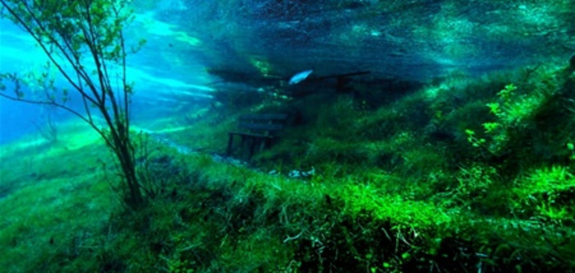 Подводный парк 'Зеленое озеро'