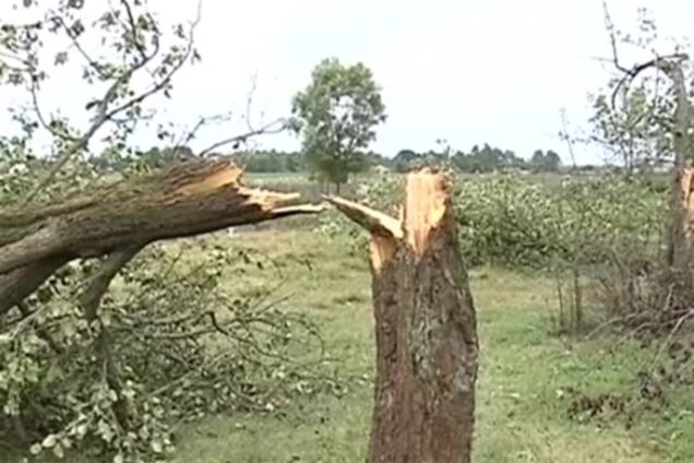 На следующей неделе в Украине резко ухудшится погода