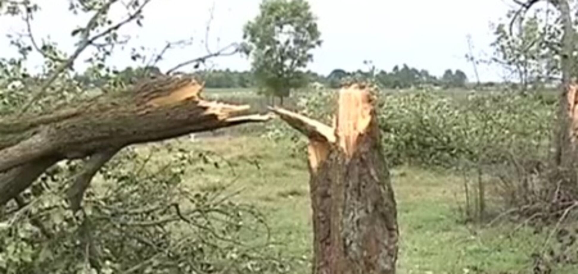 На следующей неделе в Украине резко ухудшится погода