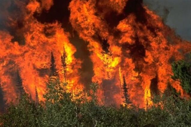 Во Франции горят более 900 га леса  