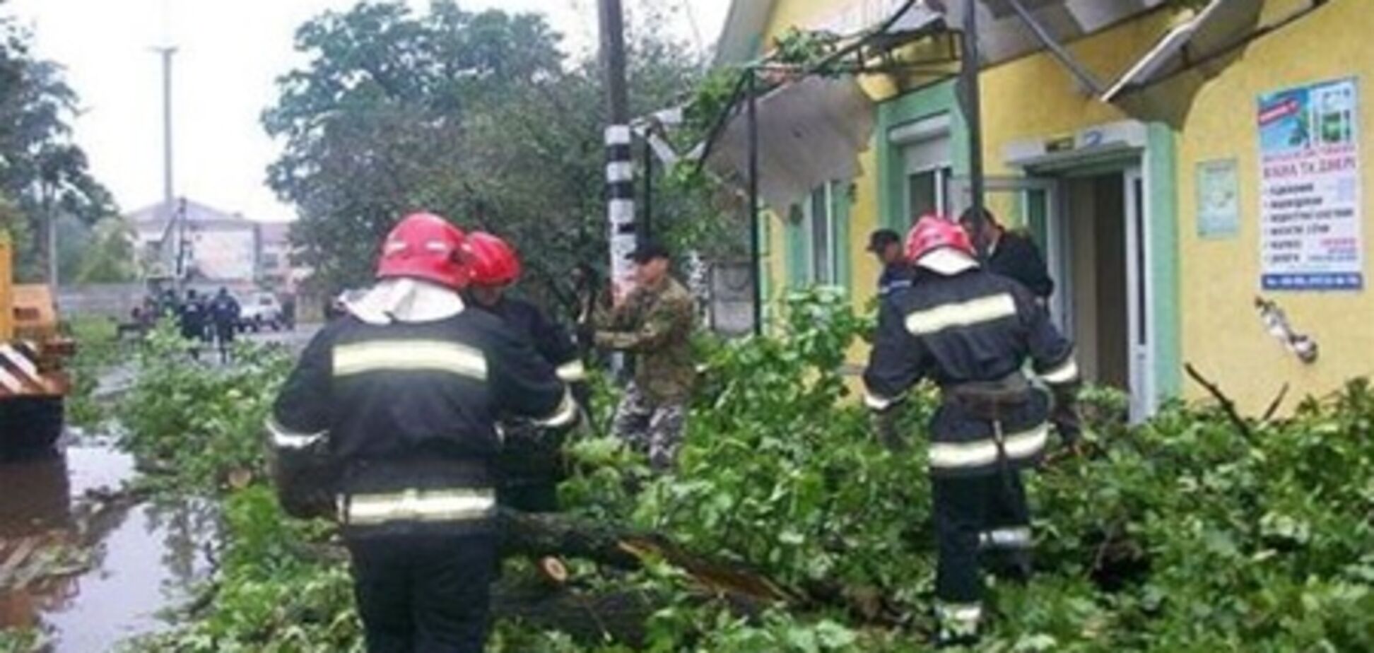 На Ривненщине ураган с корнями вырывал дубы и валил их на дома. Фото