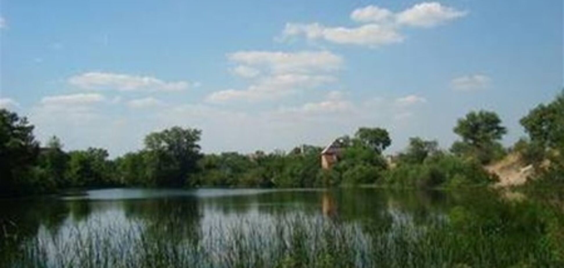 Прокуратура заинтересовалась вырубкой деревьев на Жуковом острове