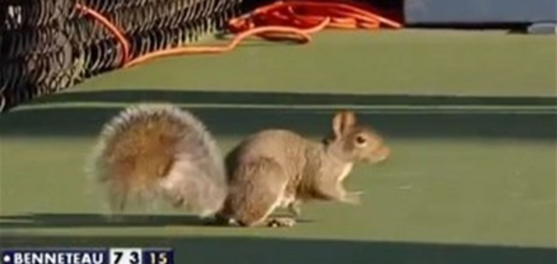 Белка прервала матч US Open