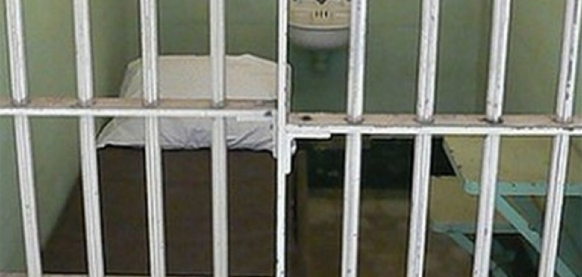 Экс-заммэру Вишневого за взятку дали 8 лет