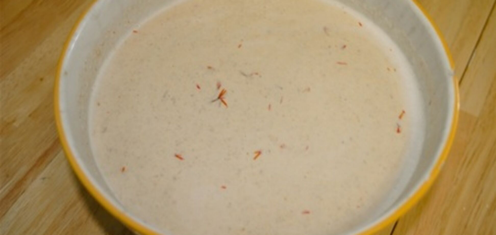 Сациви соус