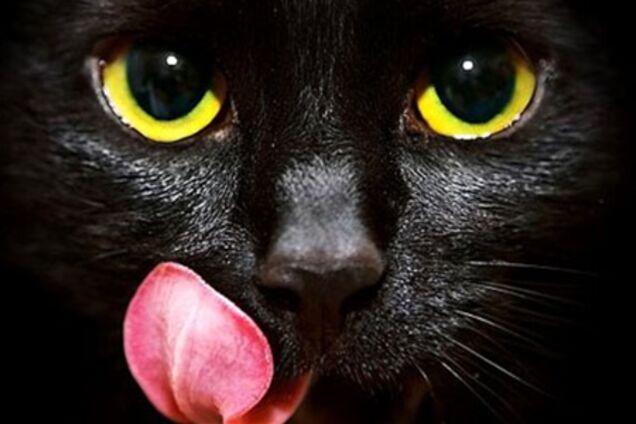 Август – роковой месяц