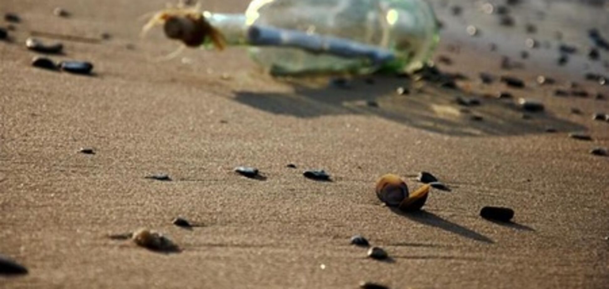 Шотландец выловил в море бутылку со столетним посланием