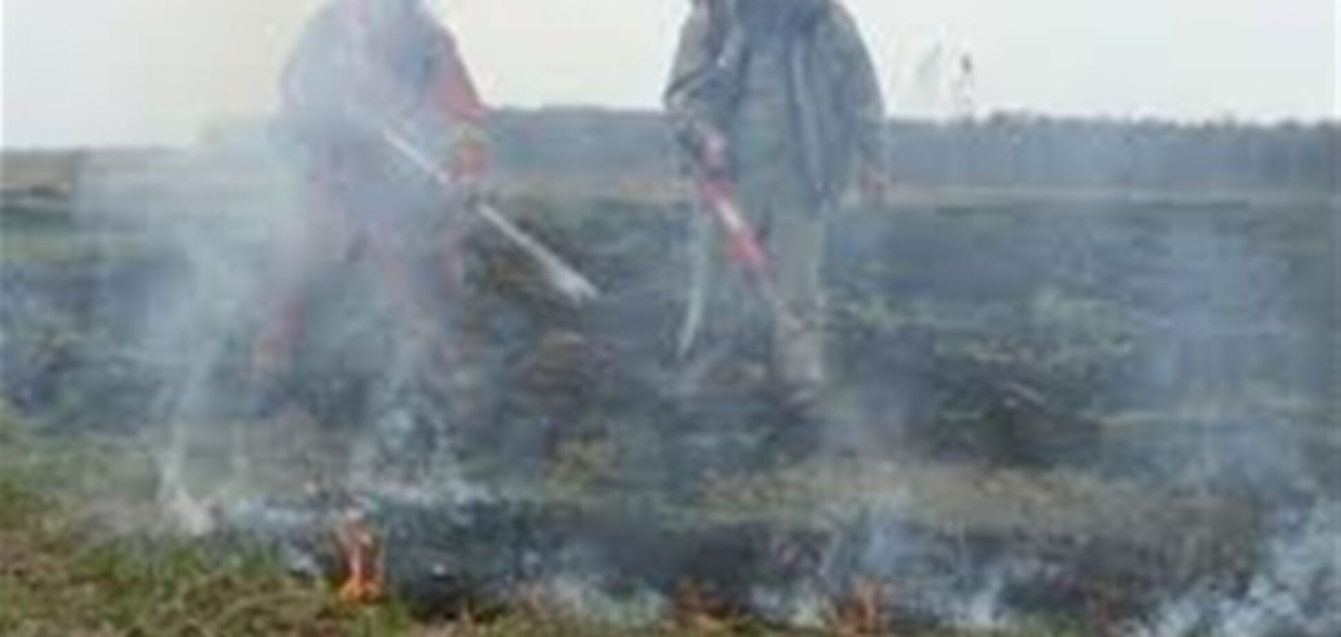 На Житомирщині горять три гектари торфовищ