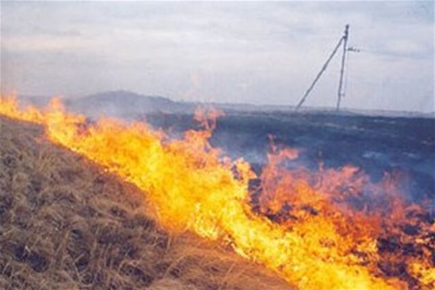 На Полтавщине горит 2,5 гектара торфа