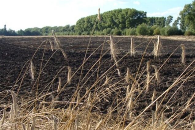 На Львовщине пожар уничтожил 40 га пшеницы