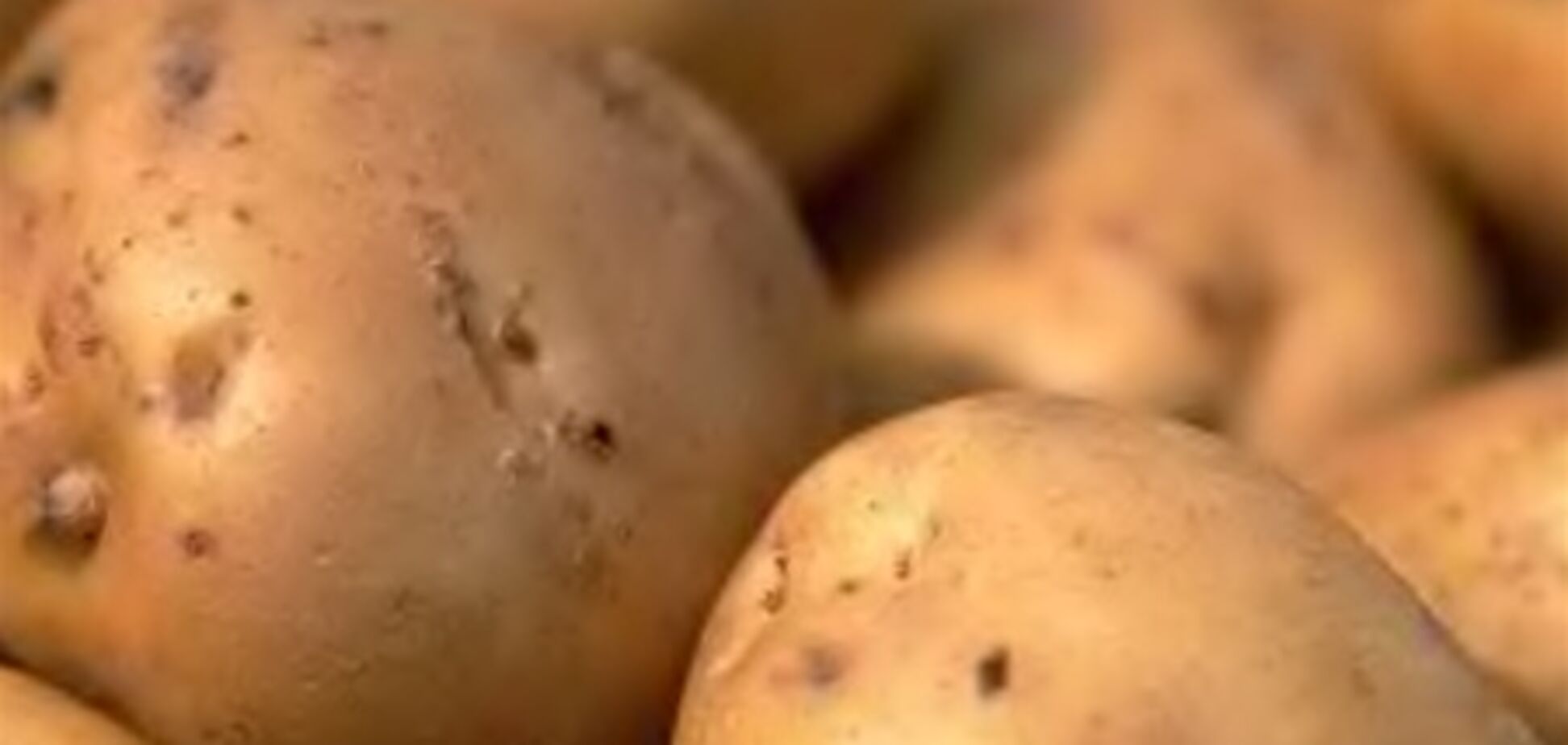 Картошка спасет от язвы желудка – ученые