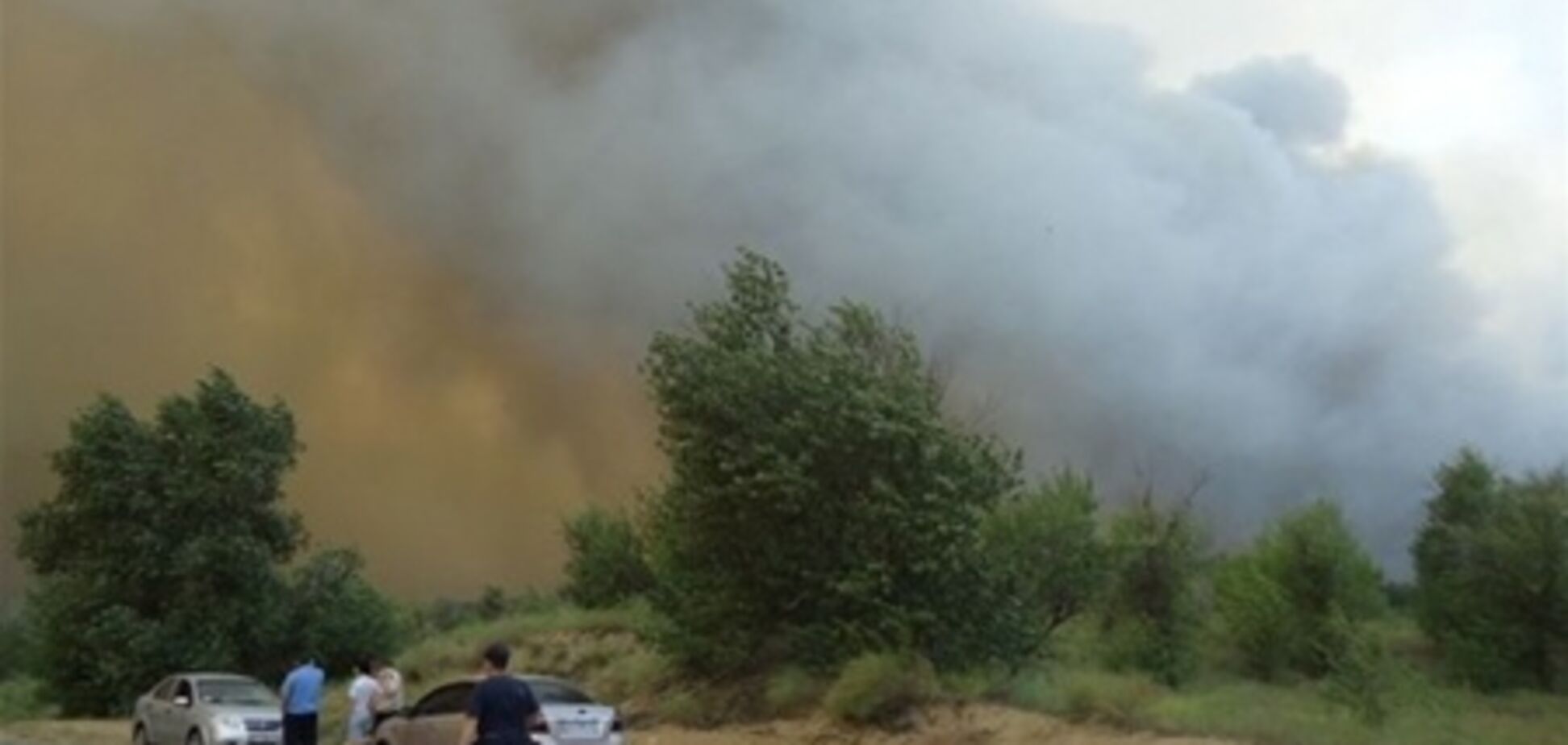 Азаров з літака оцінив масштаби пожежі на Херсонщині