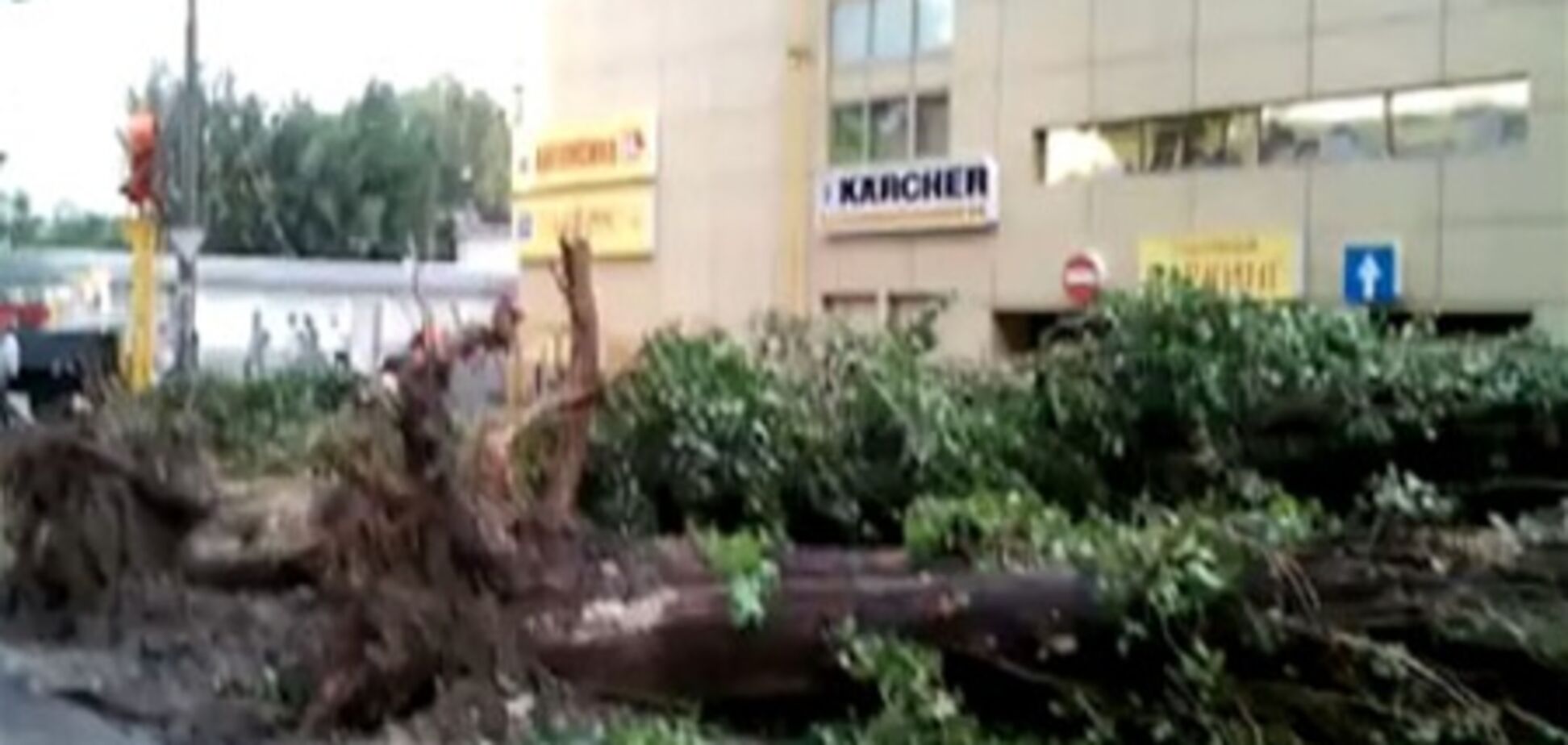 На Днепропетровщине ураган повалил десятки деревьев