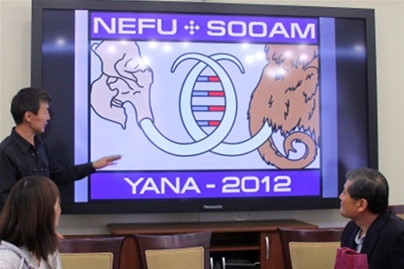 У Якутії виявлені живі клітини мамонта