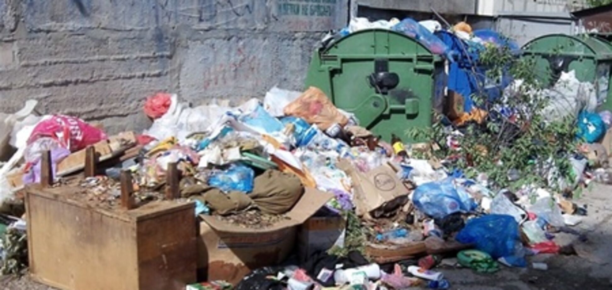 Україні загрожують 'сміттєвий' колапс і епідемія холери