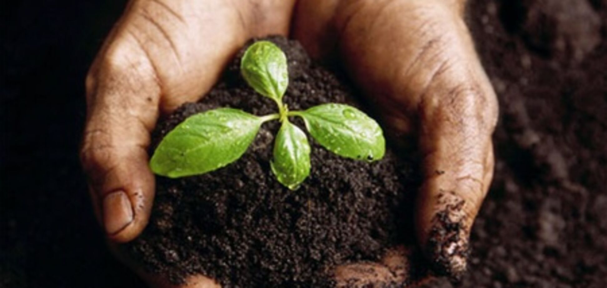 Земля в законе или в банке?