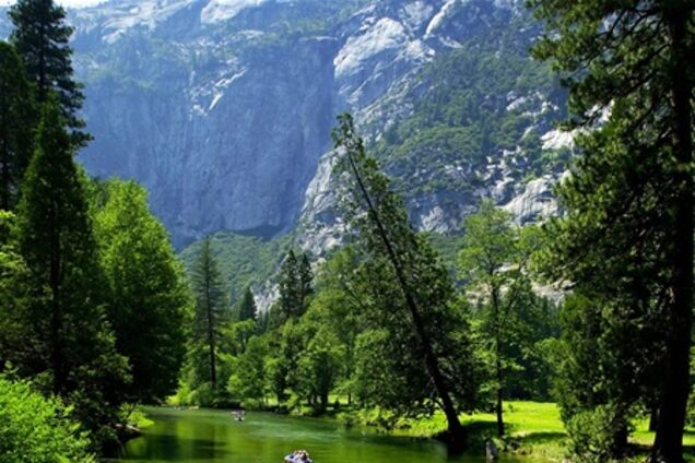 Смертельный вирус выявлен в американском национальном парке