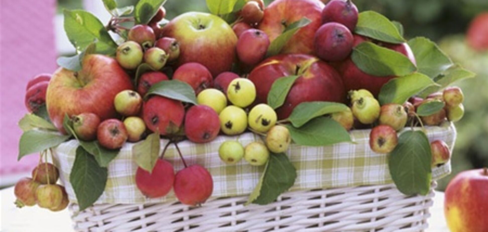 Гадание на суженого… по незрелым яблокам