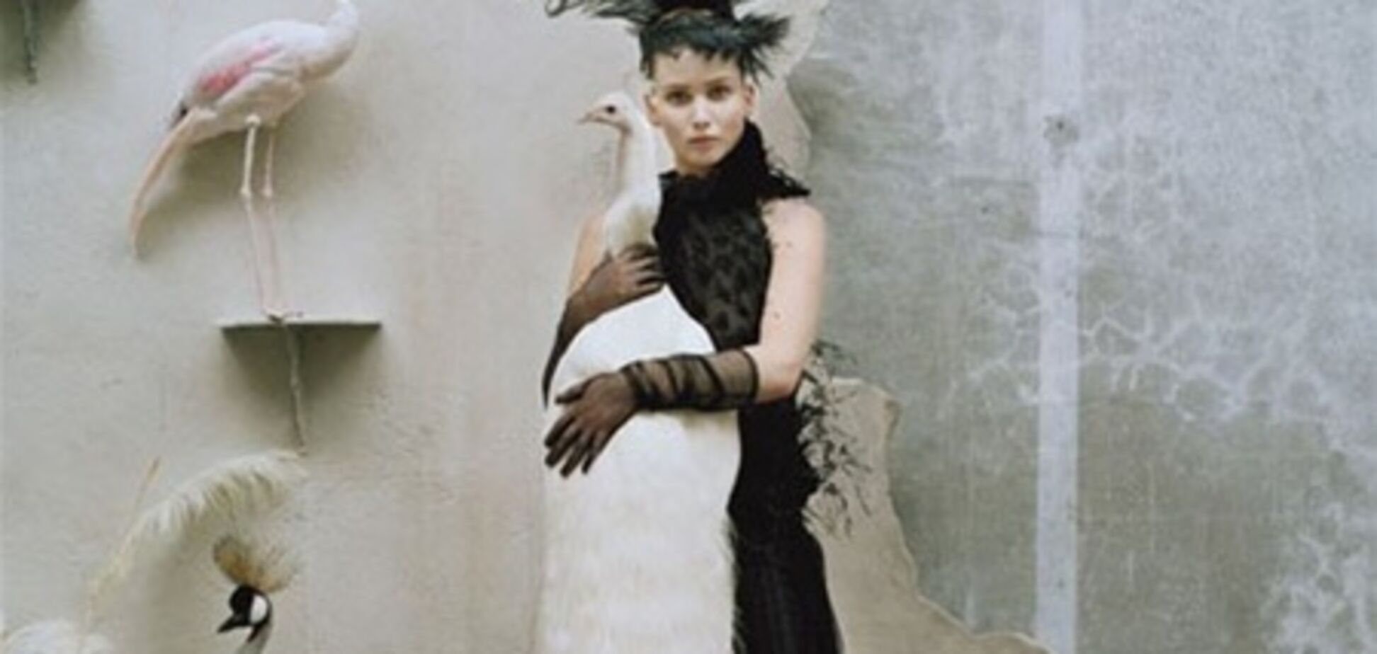 Лоуренс тискает птичек ради W magazine. Фото