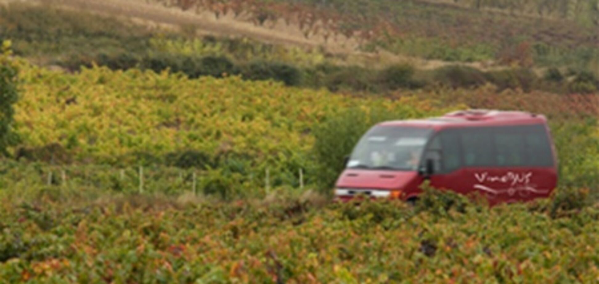 В Испании запущен винобус