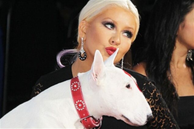 Звезды собрались на ALMA Awards-2012. Фото