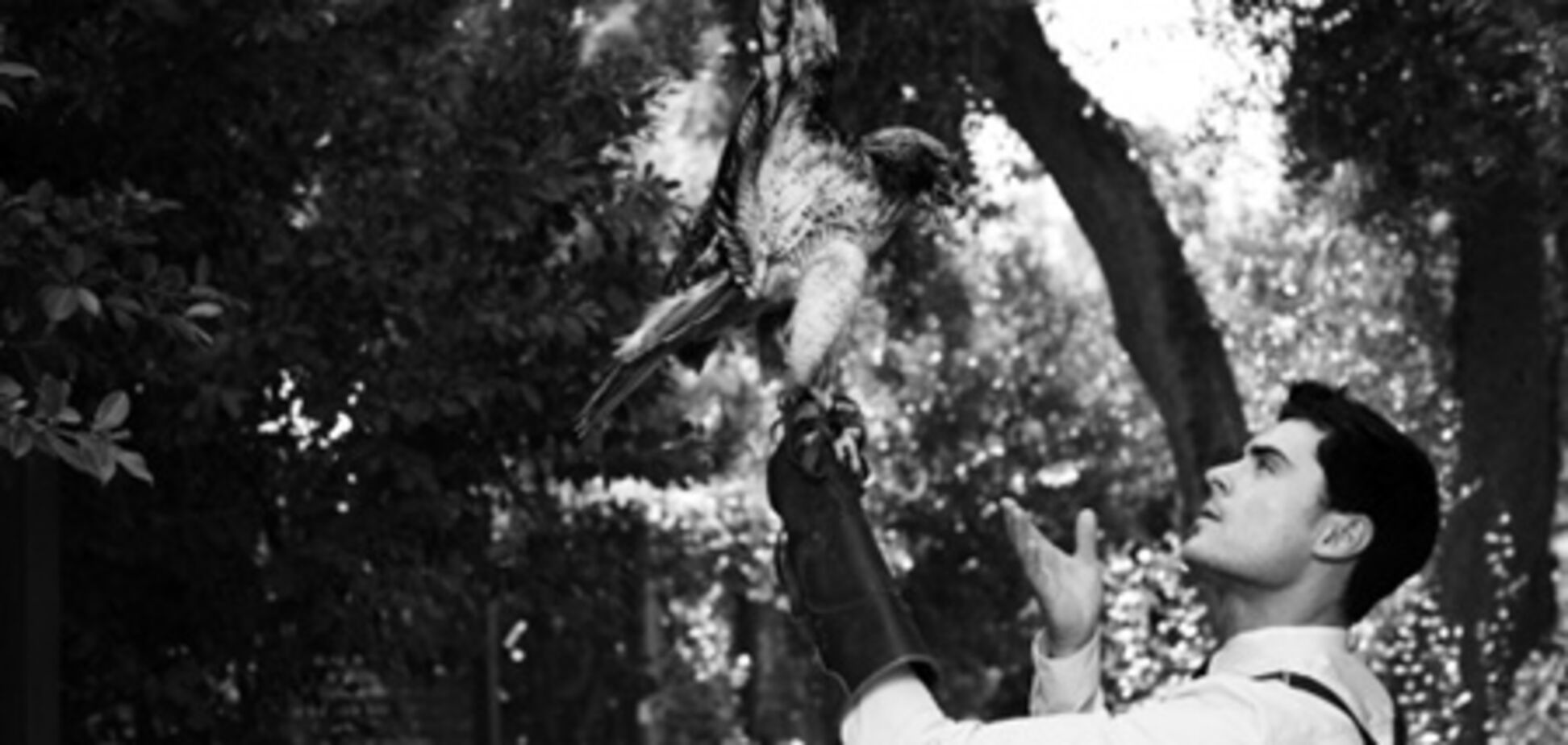 Зак Эфрон приручает зверей в Blackbook. Фото