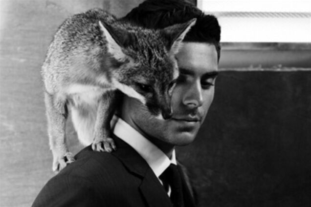 Зак Эфрон, ежик, рысь, лиса, змея и кролики