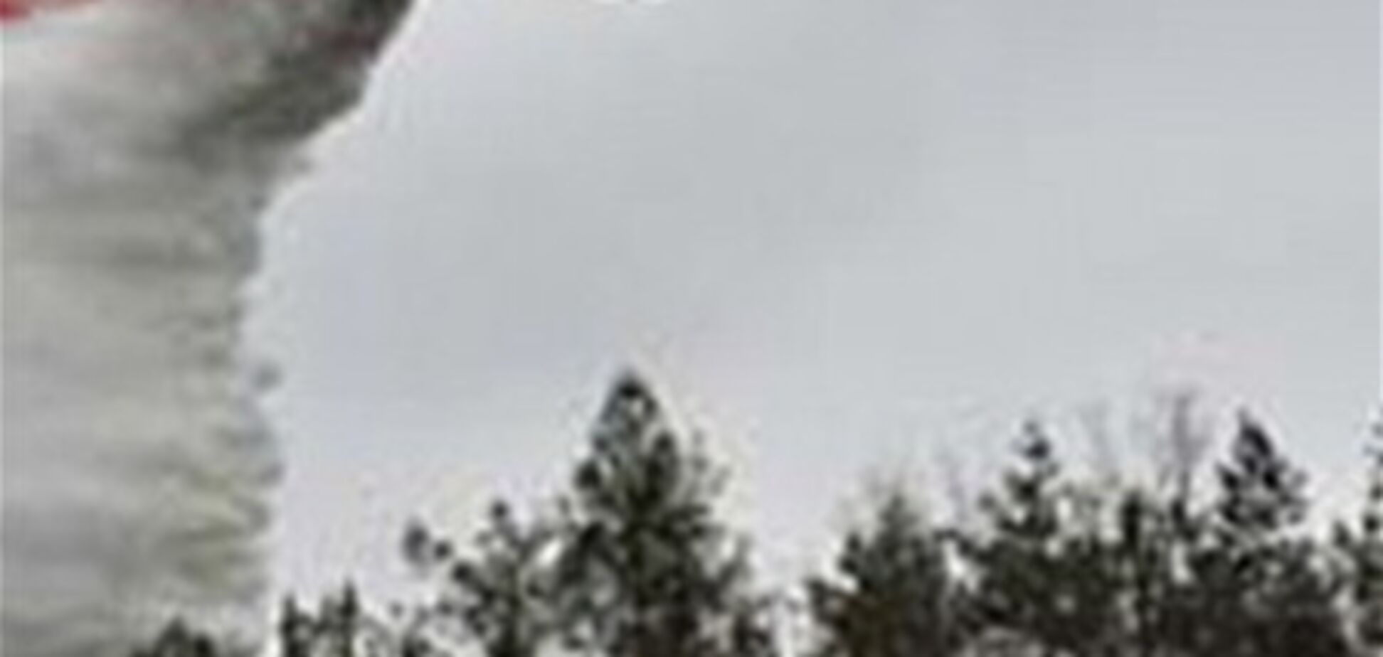 Названа версия падения самолета в Запорожской области