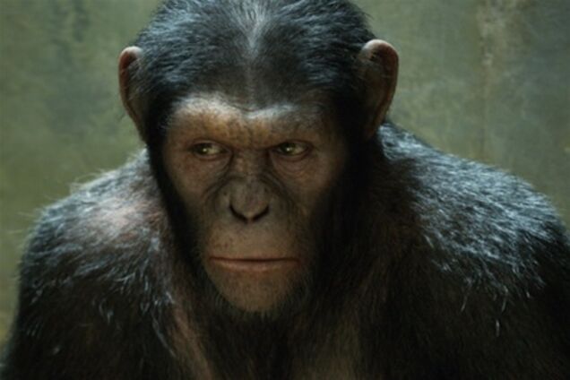 Режиссер 'Восстания планеты обезьян' думает отказаться от сиквела
