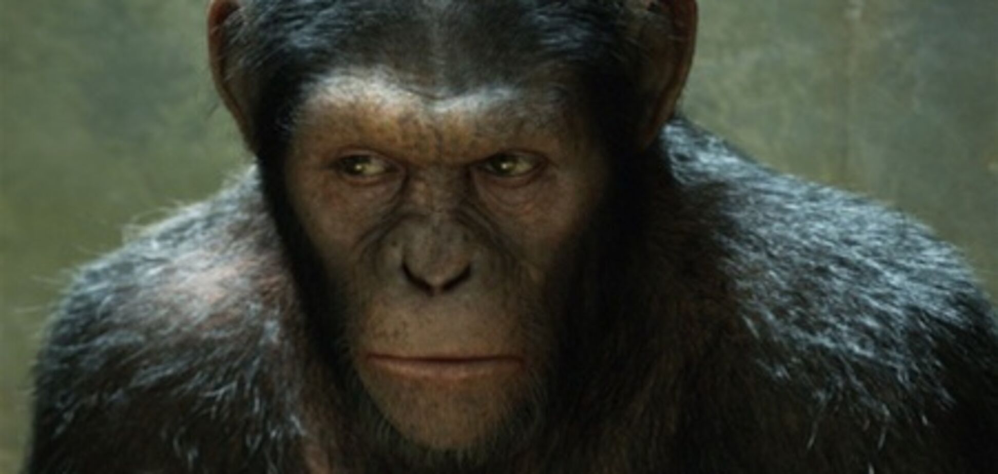 Режиссер 'Восстания планеты обезьян' думает отказаться от сиквела