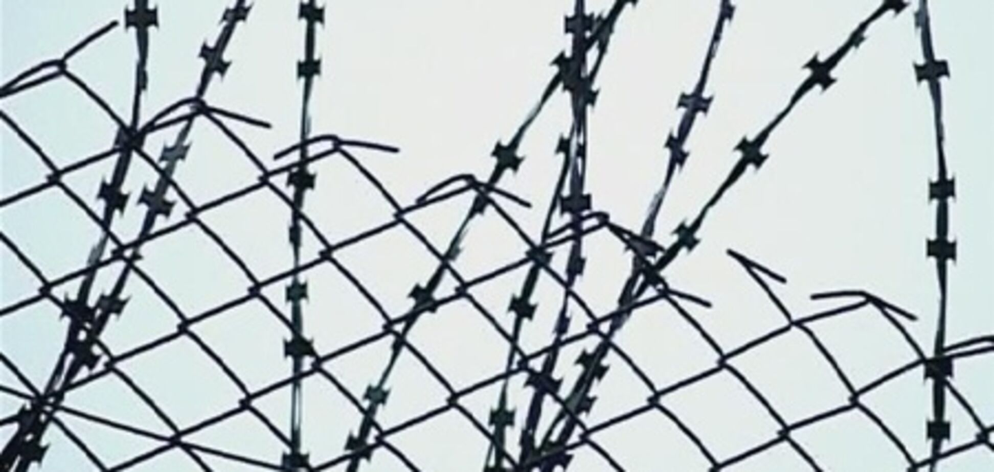 Правительство одобрило законопроект об амнистии