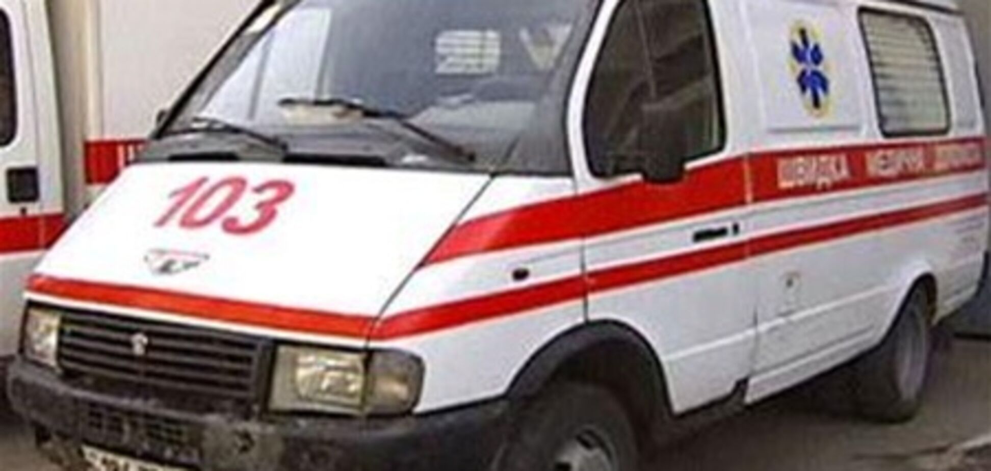 Во Львове отец и двухлетний ребенок отравились токсинами