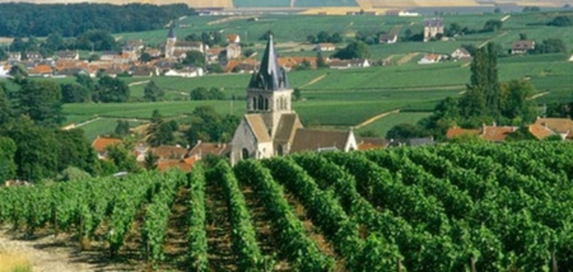 Крымское виноделие 'говорит' с французским акцентом