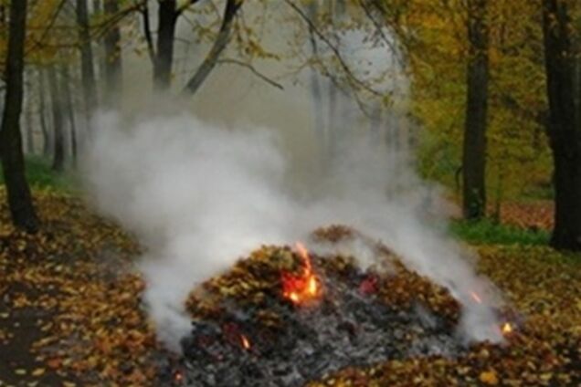За сжигание листьев украинцев будут штрафовать на 340 грн