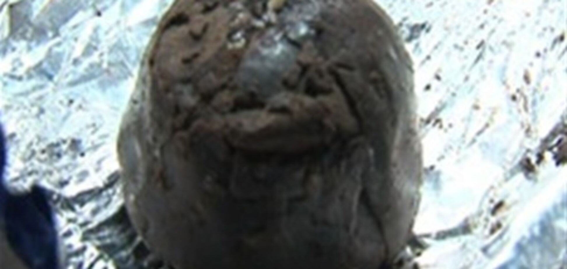 Мешканка Харкова купила шоколадні цукерки з хробаками