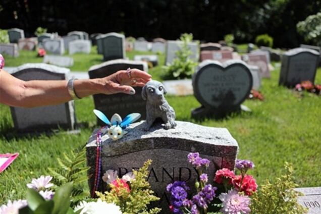 Кладбище домашних животных около Нью-Йорка признали историческим