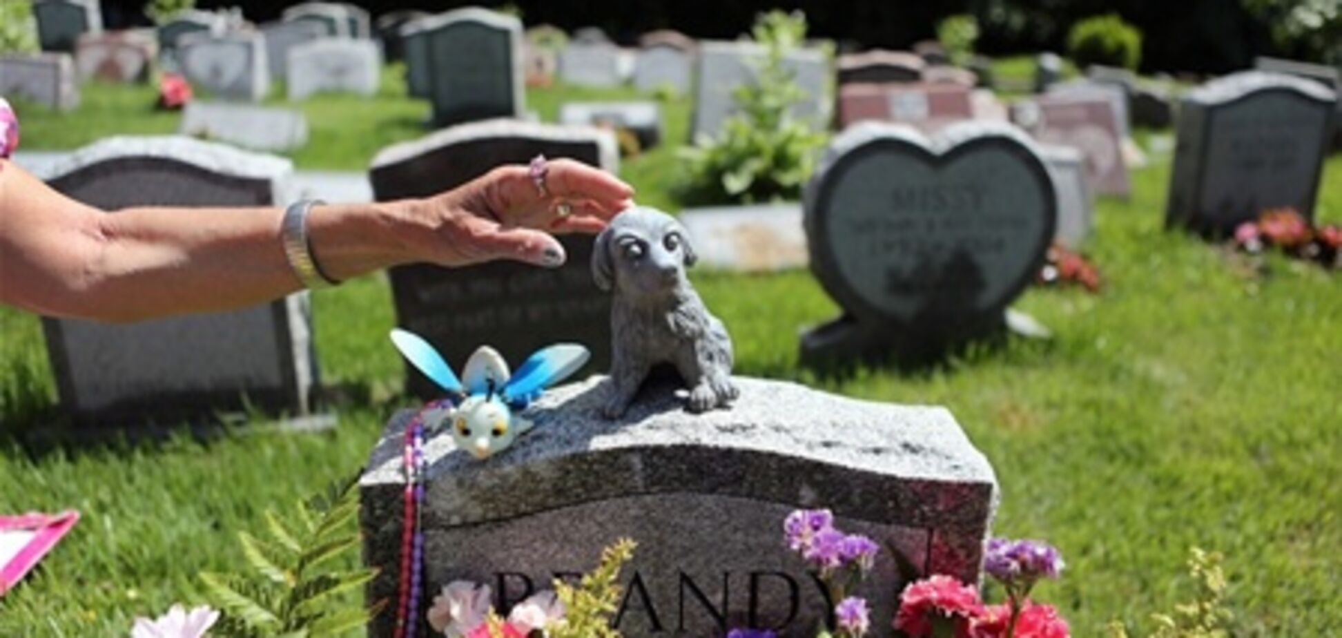 Кладовище домашніх тварин близько Нью-Йорка визнали історичним