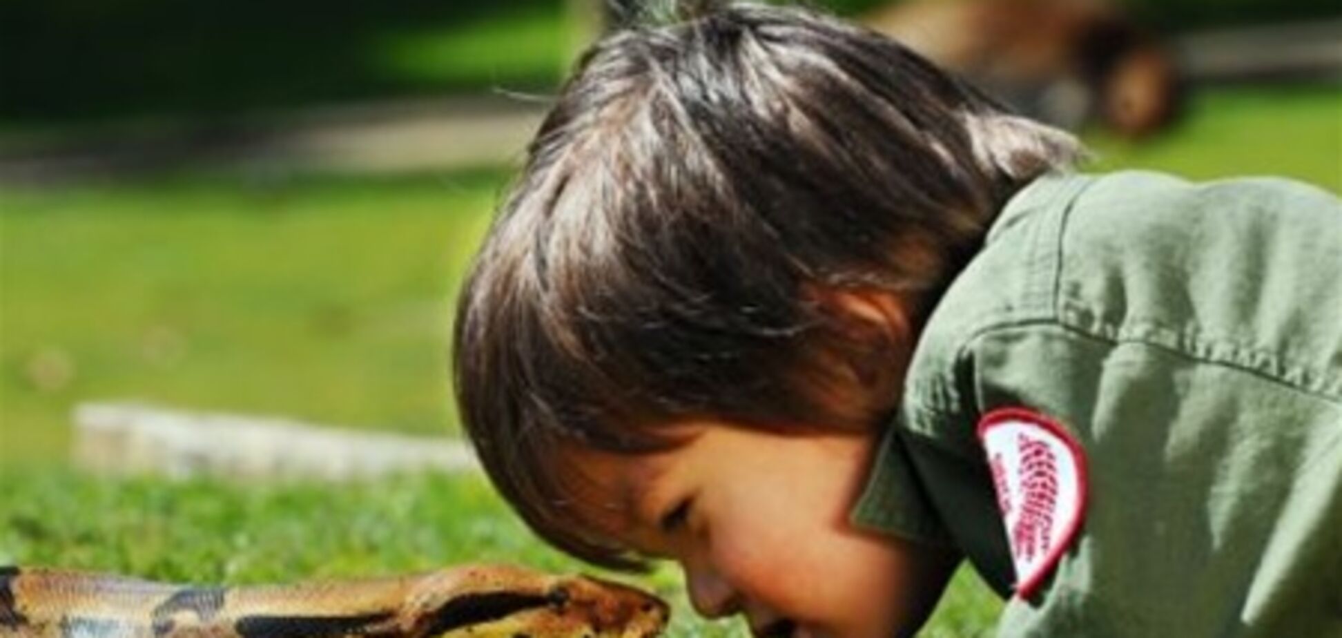 Двухлетний ребенок укрощает змей. Фото