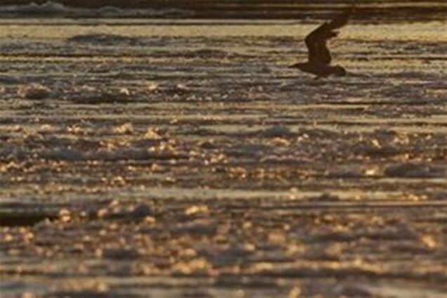 Большое нефтяное пятно обнаружили у берегов Измаила на Одесщине