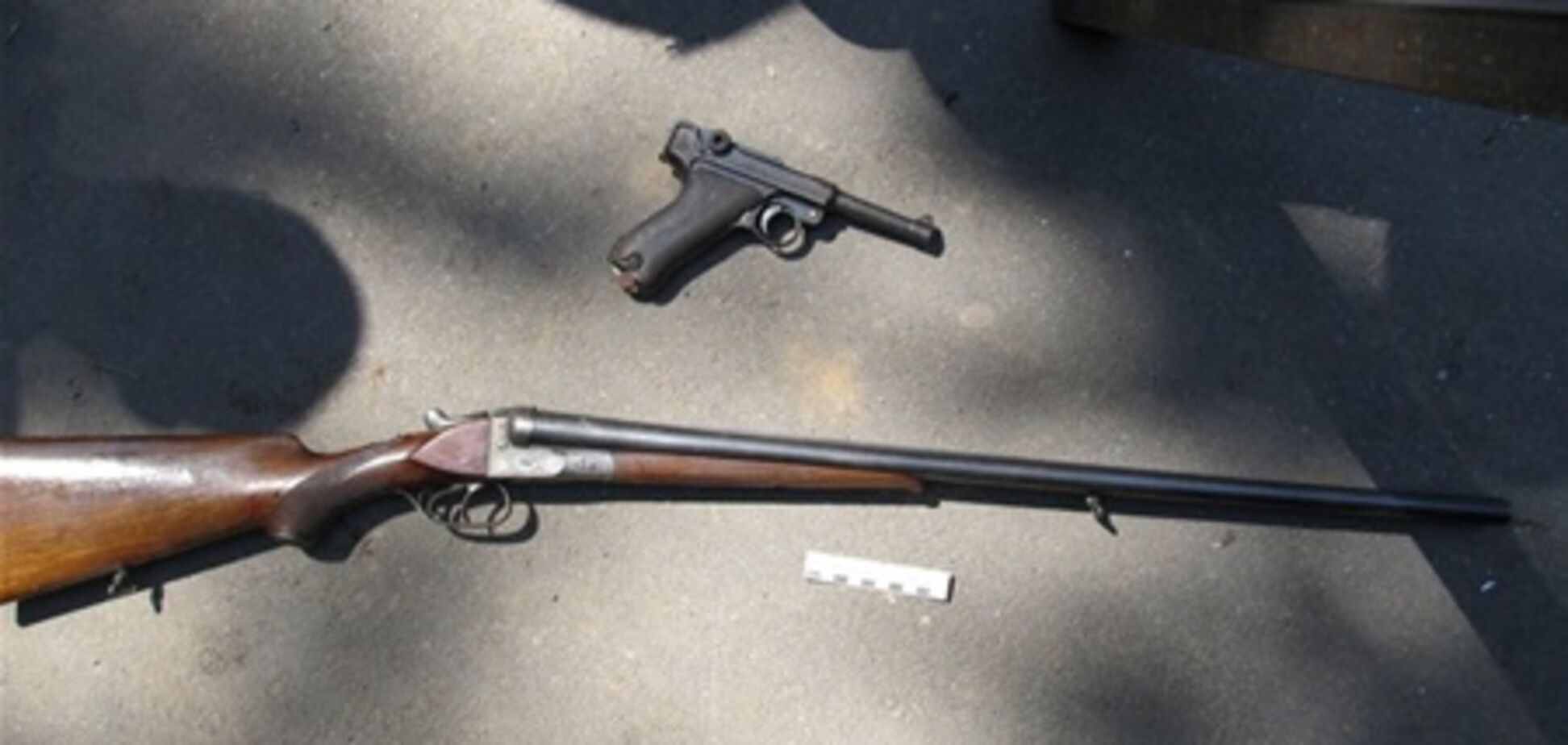 На Запорожье охотник случайно выстрелил в дочь и жену