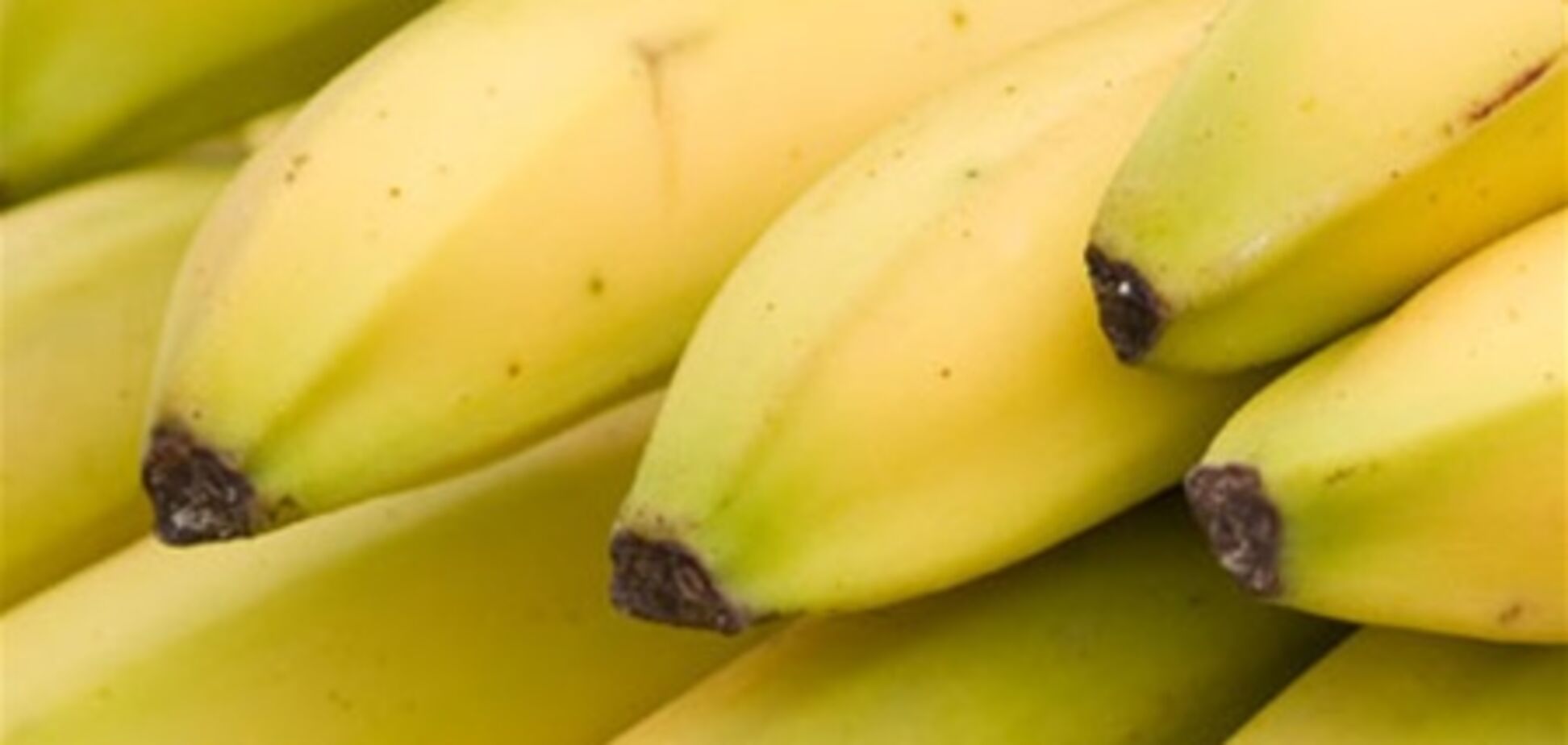 Туристам покажут как надо выращивать бананы
